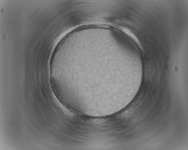 X0000066521380200604071541