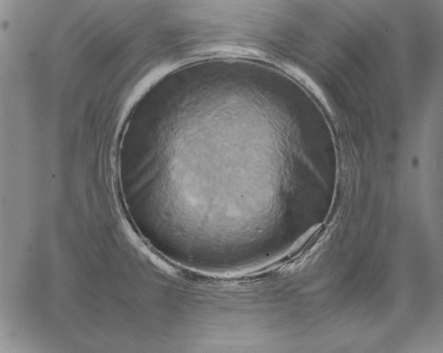 X0000066521381200604071541