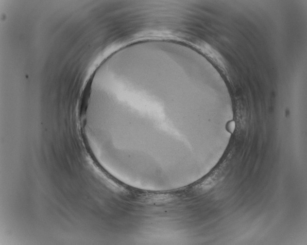 X0000066521382200604071541