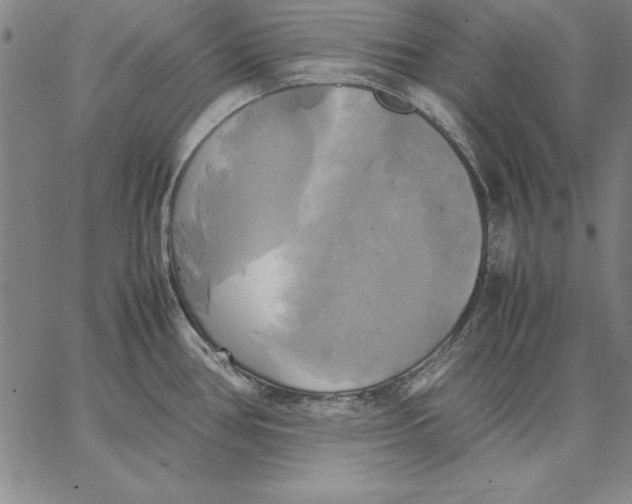 X0000066521386200604071541