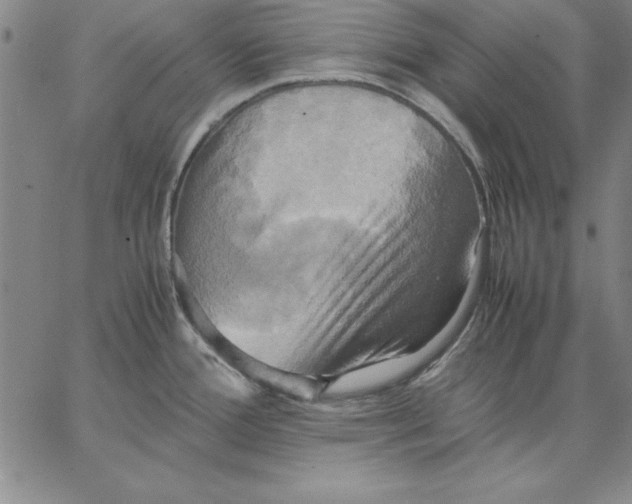 X0000066521388200604071541