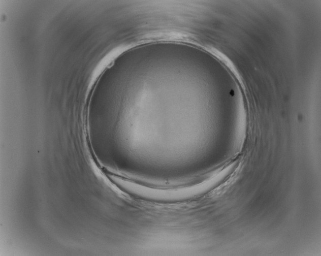 X0000066521389200604071541