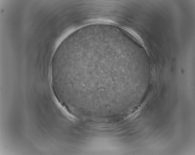 X0000066521391200604071541