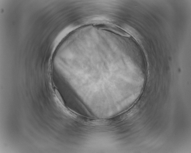 X0000066521392200604071541