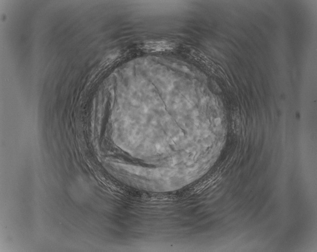 X0000066521393200604071540