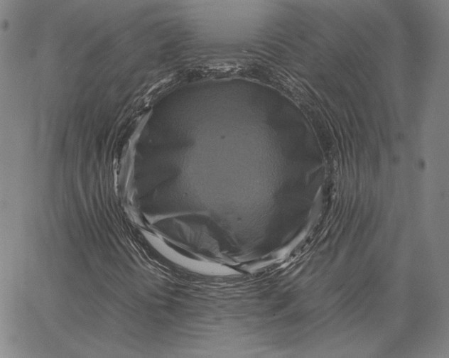 X0000066521394200604071540