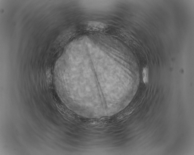 X0000066521395200604071540