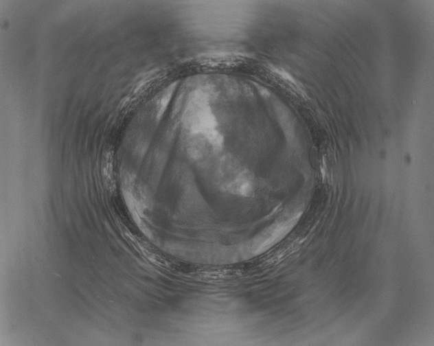 X0000066521396200604071540