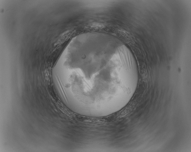 X0000066521397200604071540