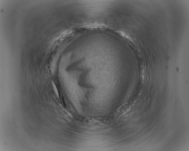 X0000066521398200604071540