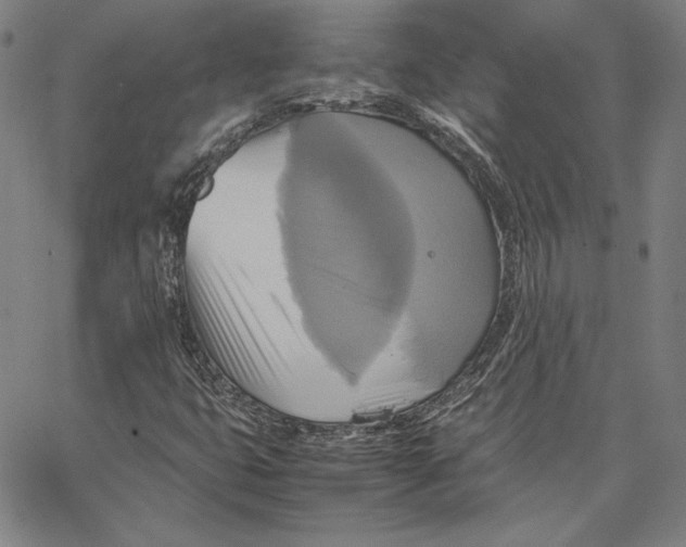 X0000066521399200604071540