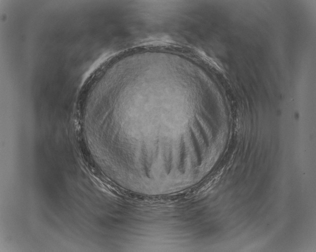 X0000066521400200604071540