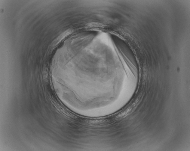 X0000066521401200604071540