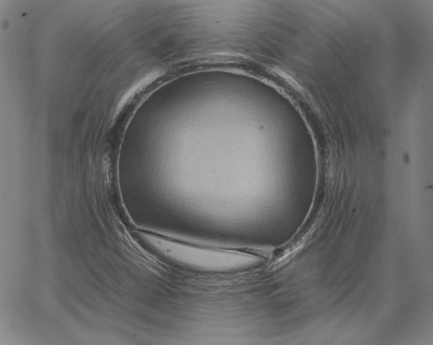 X0000066521402200604071540