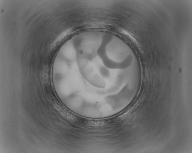 X0000066521403200604071540