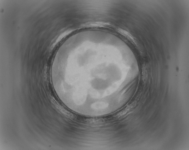 X0000066521404200604071540