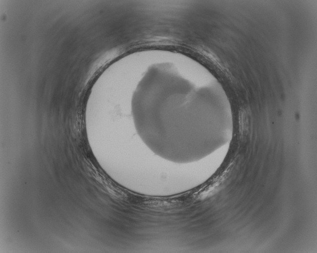 X0000066521405200604071540