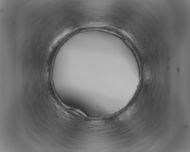 X0000066521406200604071540