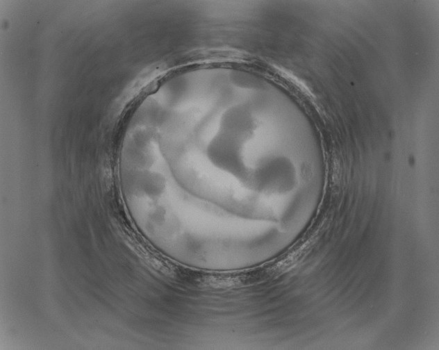 X0000066521407200604071540