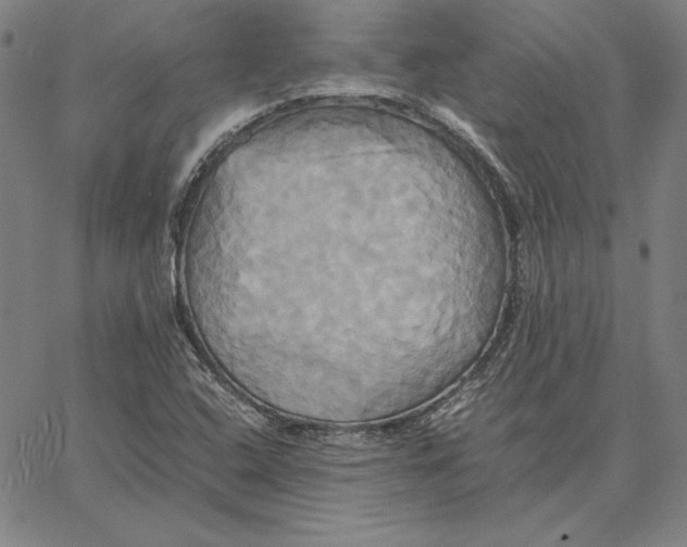 X0000066521408200604071540