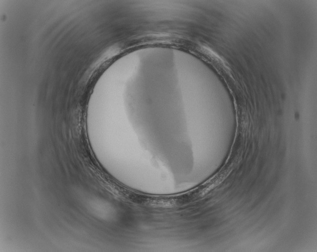 X0000066521411200604071540