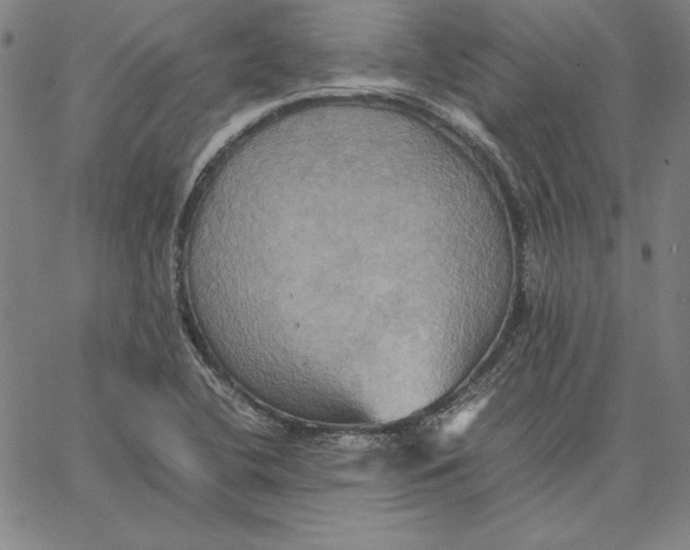 X0000066521412200604071540