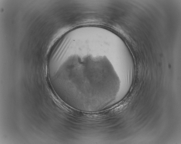 X0000066521413200604071540