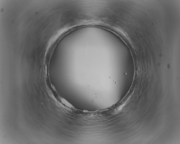 X0000066521414200604071540