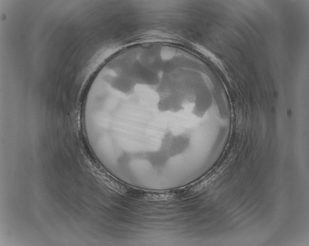 X0000066521415200604071540