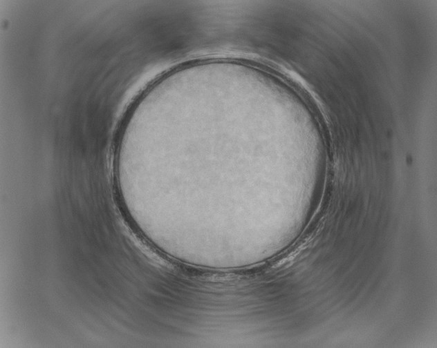 X0000066521416200604071540