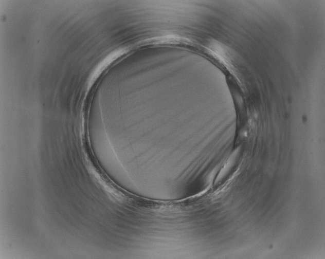 X0000066521418200604071540