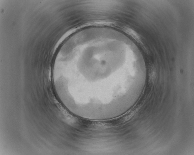 X0000066521420200604071541