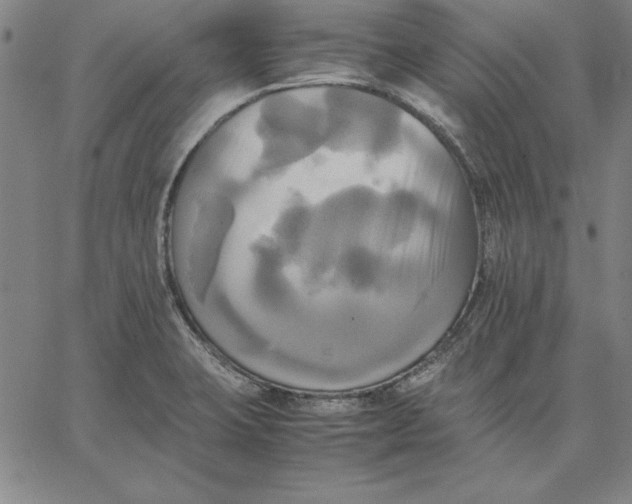 X0000066521423200604071541