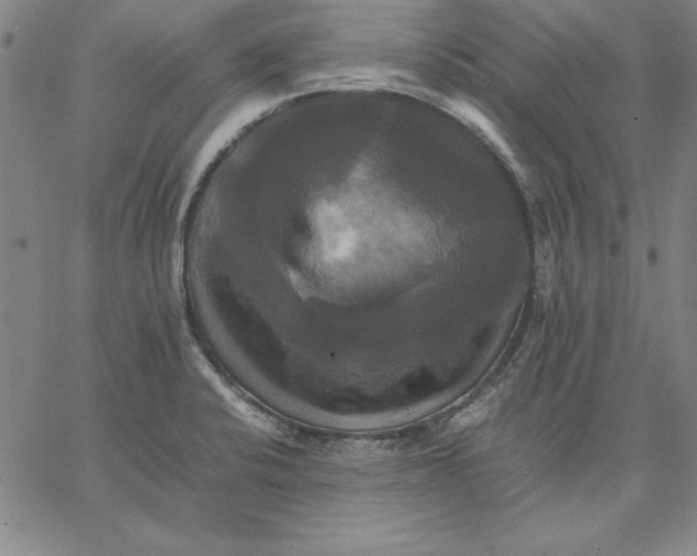 X0000066521424200604071541