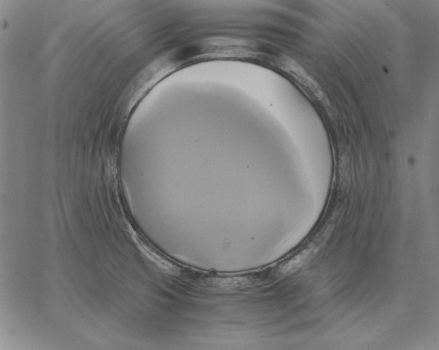 X0000066521425200604071541