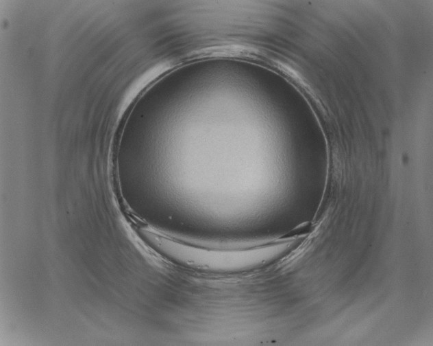 X0000066521426200604071541