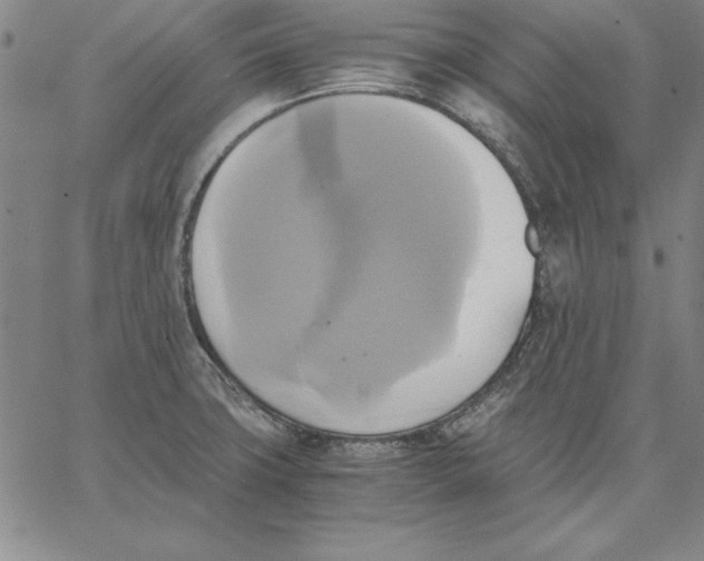 X0000066521427200604071541