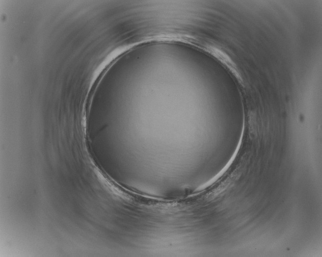 X0000066521428200604071541