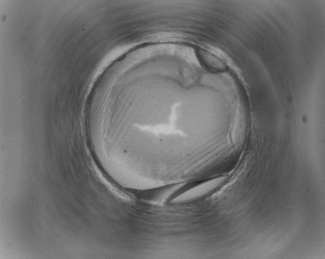 X0000066521429200604071541