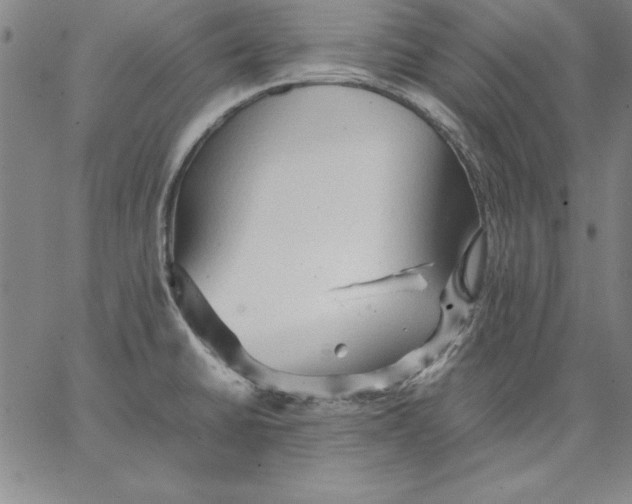 X0000066521430200604071541