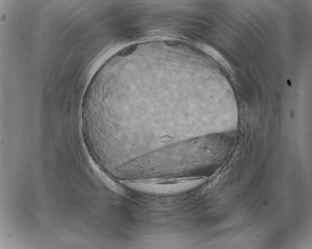 X0000066521431200604071541