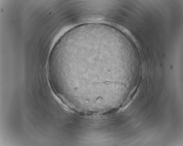 X0000066521432200604071541