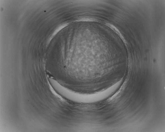 X0000066521433200604071541