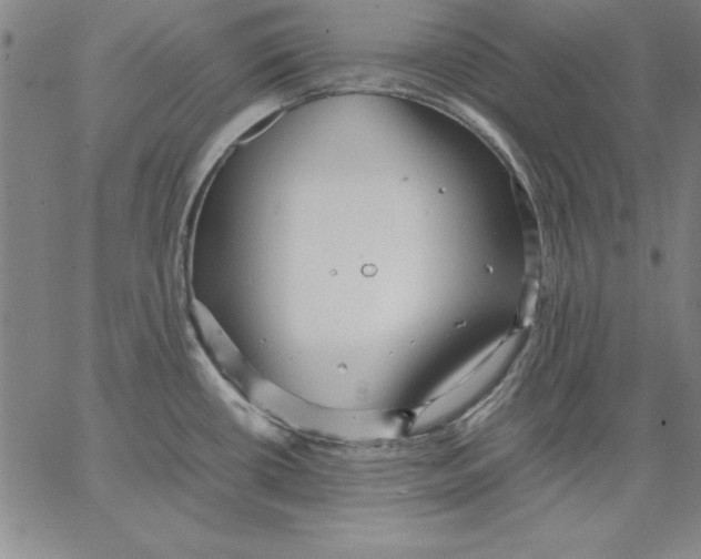 X0000066521434200604071541