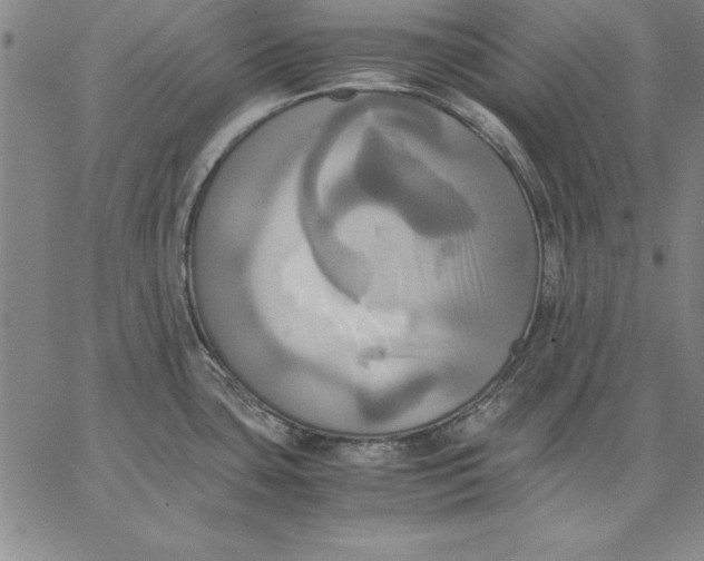 X0000066521435200604071541