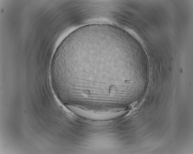 X0000066521440200604071541