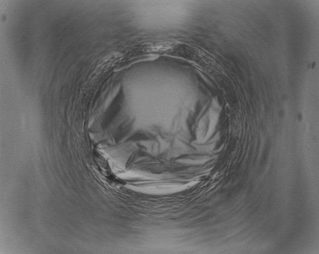 X0000066521441200604071540