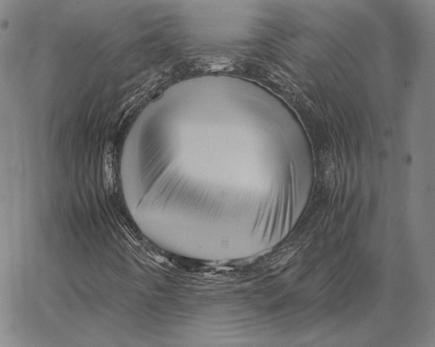 X0000066521442200604071540