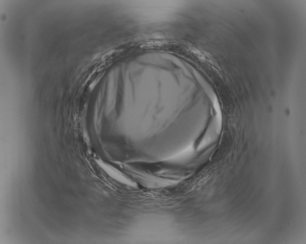 X0000066521445200604071540