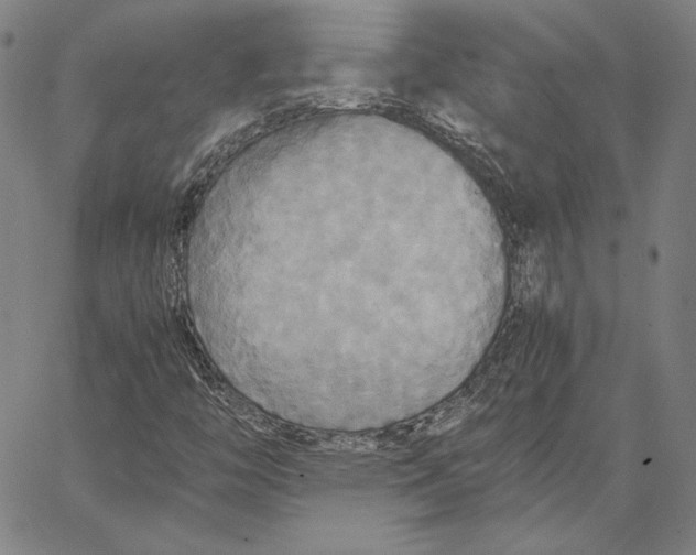 X0000066521446200604071540